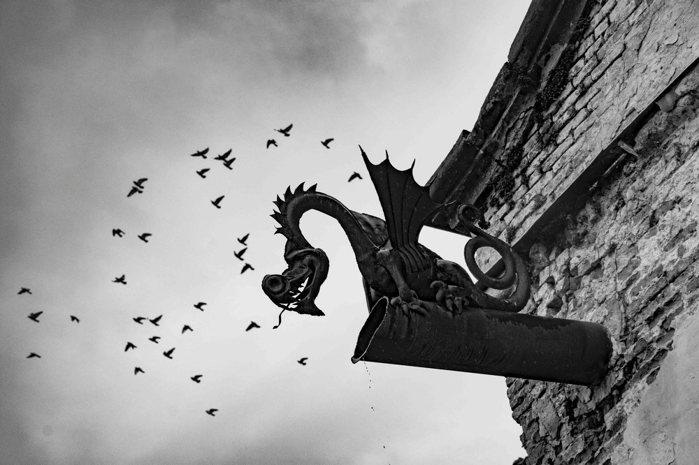 Dragons
