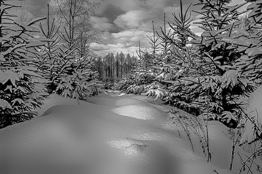 Photograph by Gaļina