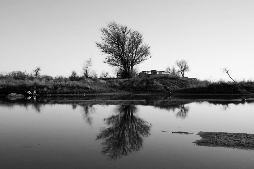 Photograph by Rouslan Chernyshev