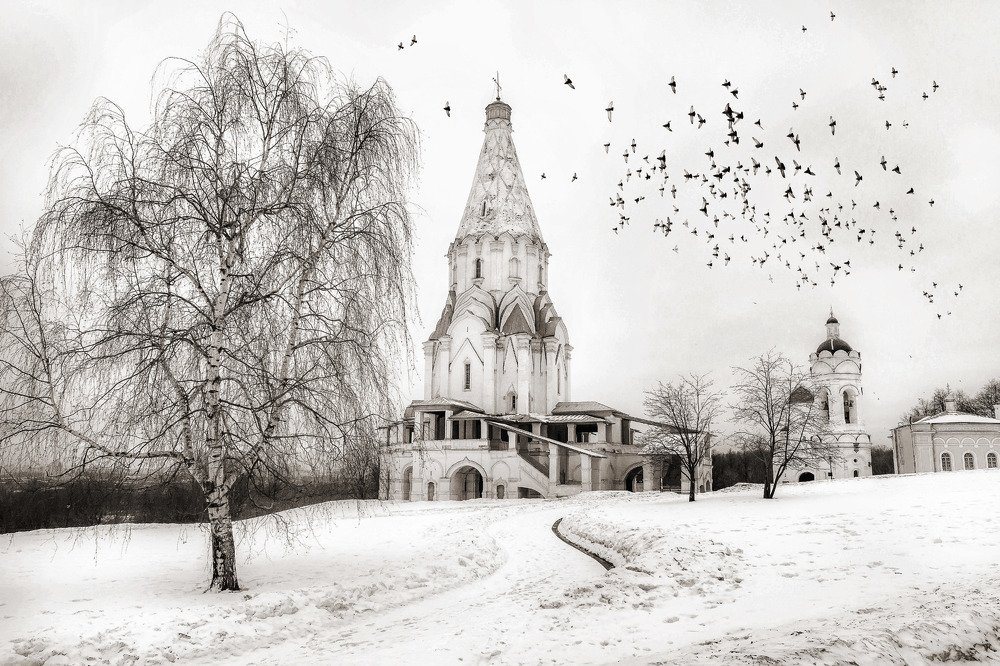 Photograph by Владислав Мотузенко