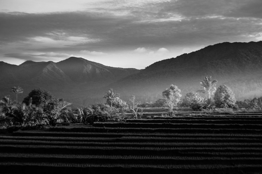 morning mist above rice fields with a beautiful mountain atmosphere with light