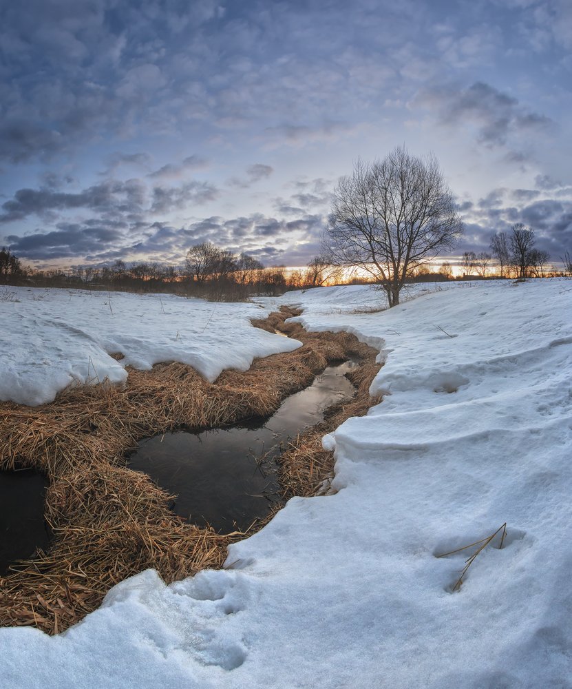 Весна идёт.