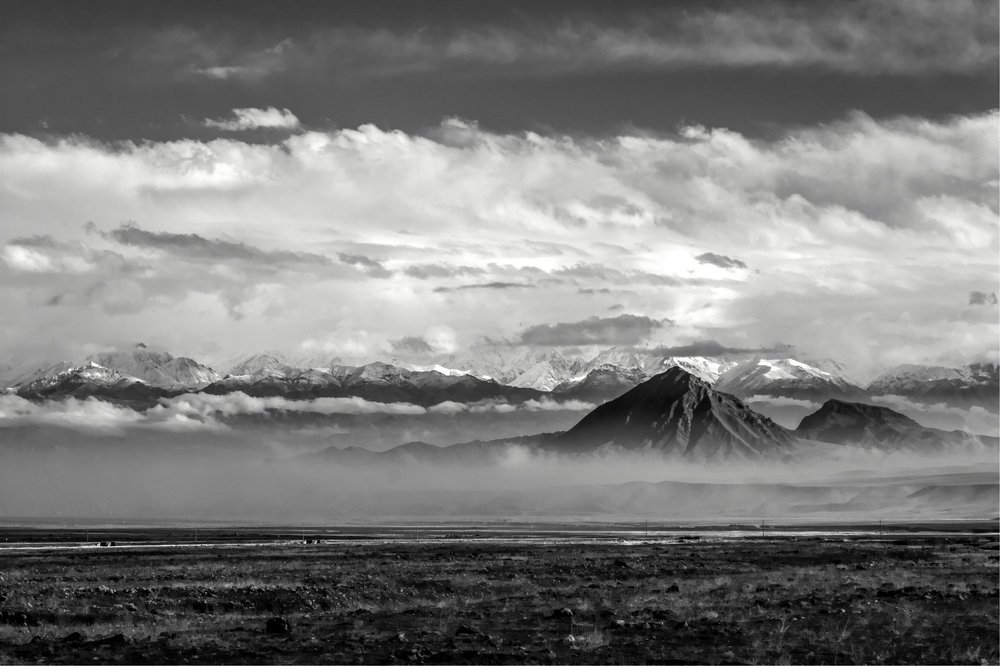 A Beast Among The Mist