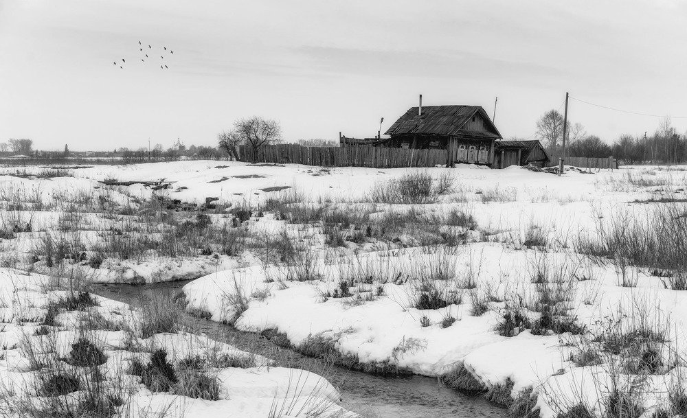 первые проталины