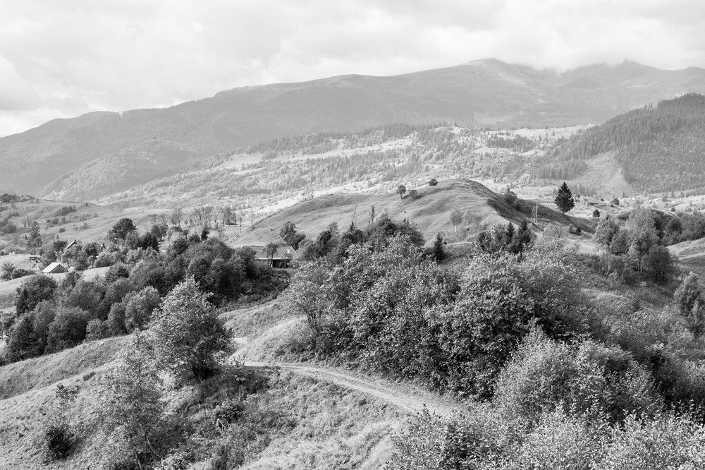 Закарпатские сюжеты