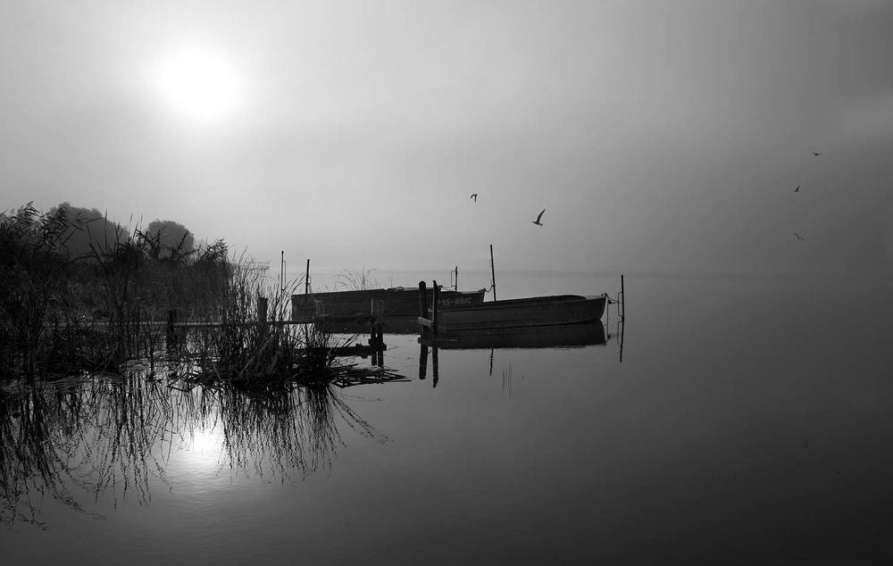 Утро на озере