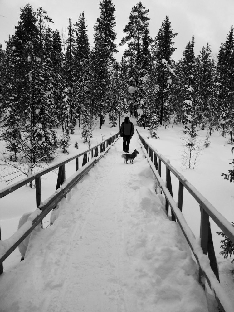 Прогулка в зимнем лесу.