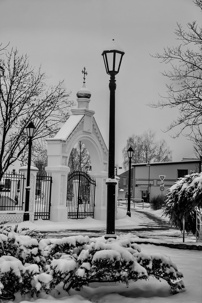 Photograph by Gaļina