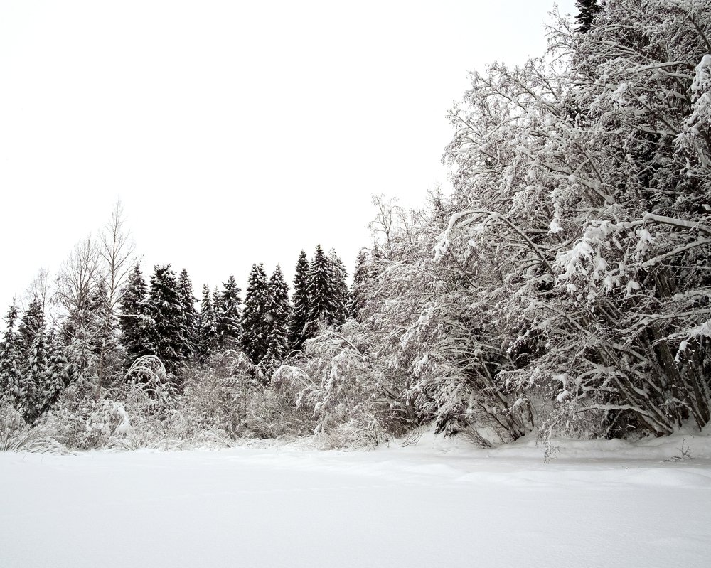 Цветное январское фото