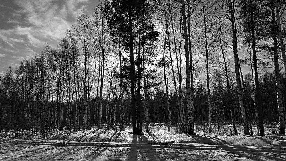 Весеннее солнце