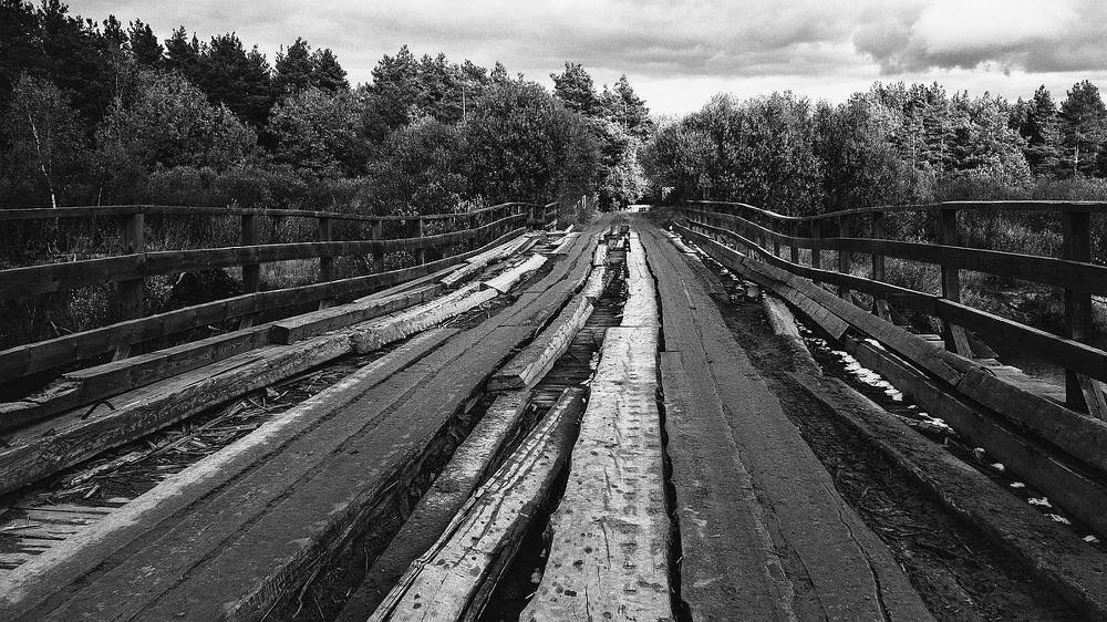 Photograph by Городничева Елена