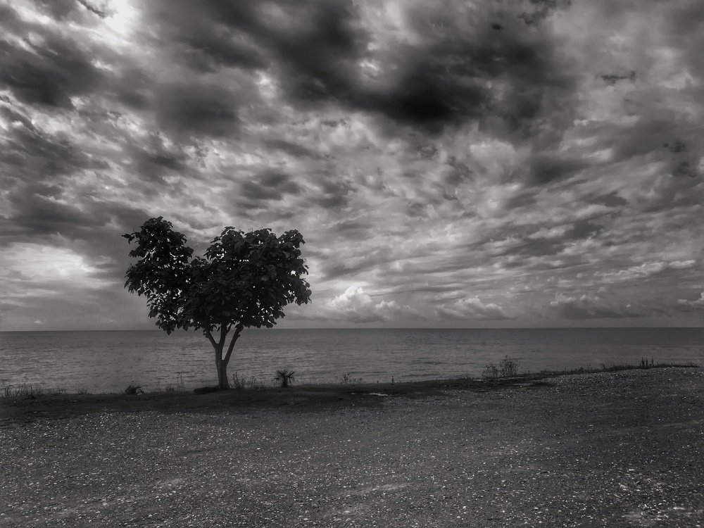 Photograph by Диляра Фахреева