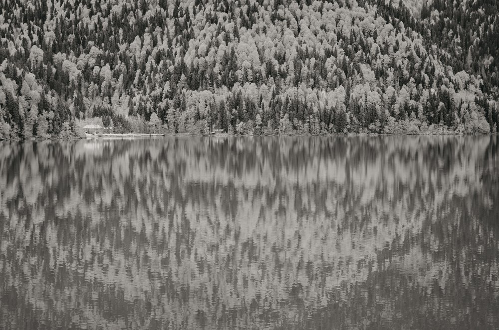 Рица как она есть