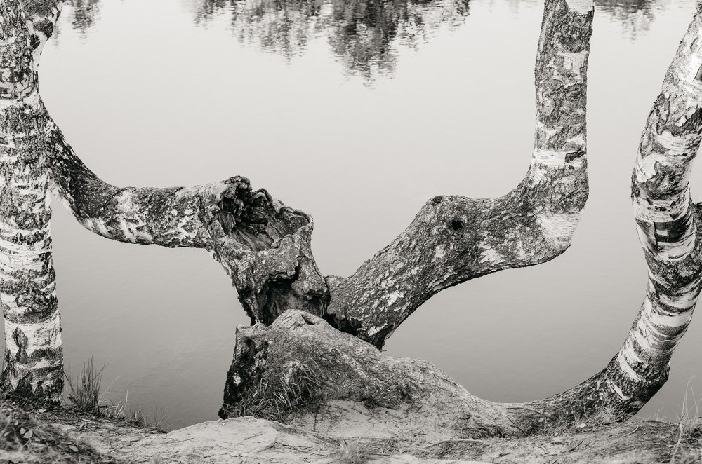 Излом времени