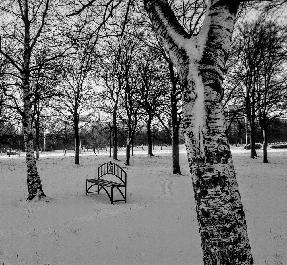 Скамейка в парке...