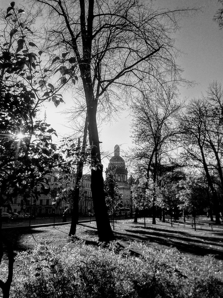 Вид на Исаакиевский Собор.