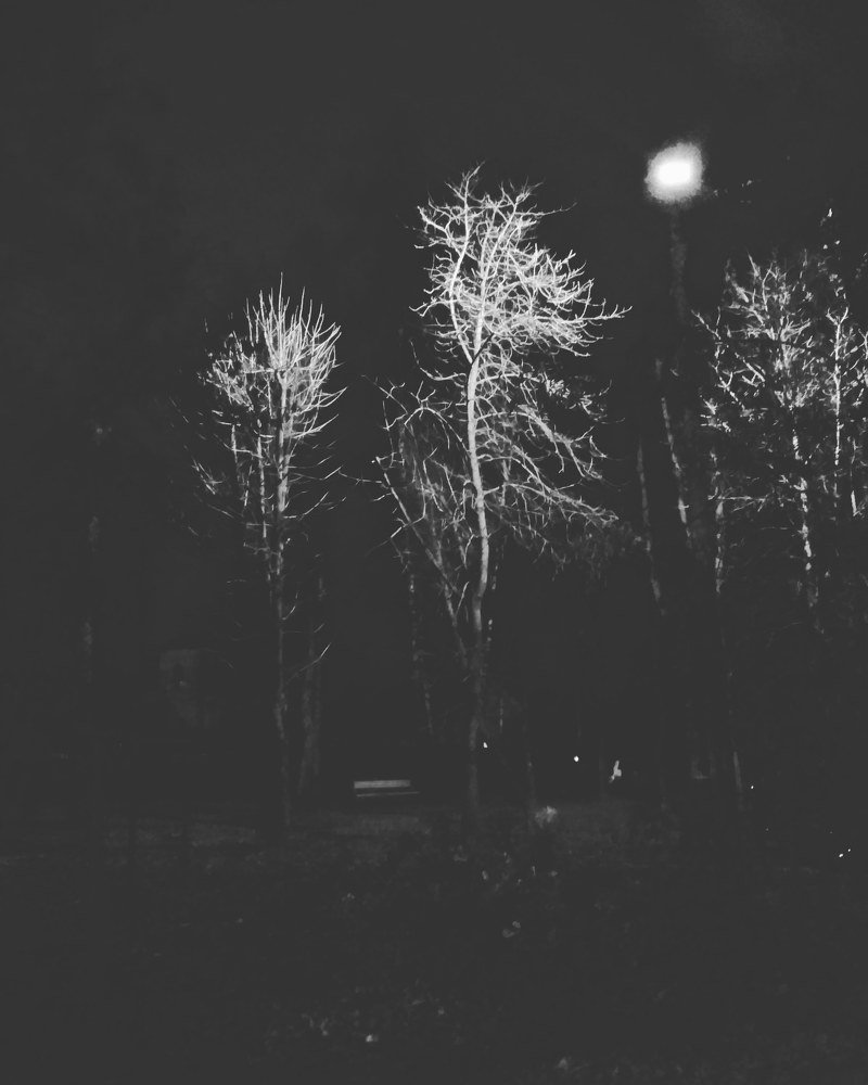 городское полнолуние