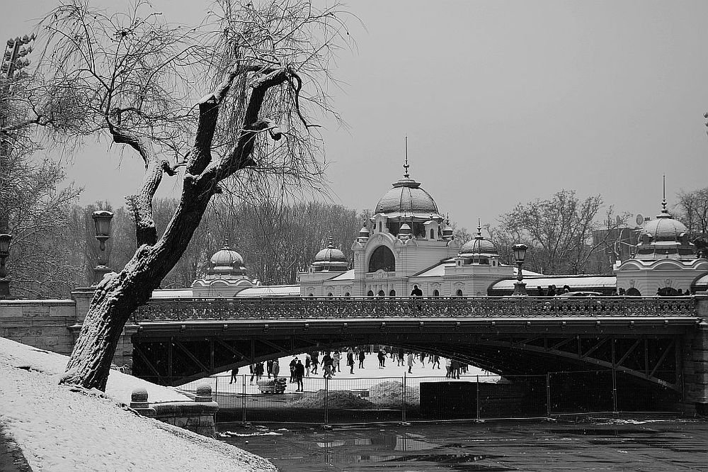 winter,snow,architecture and people