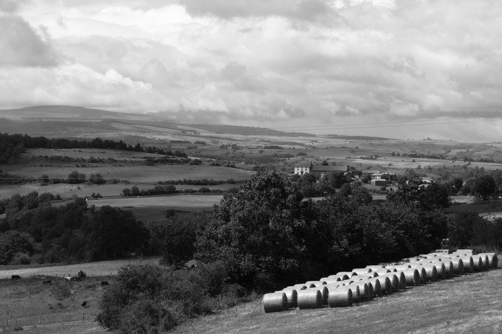 Французские луга