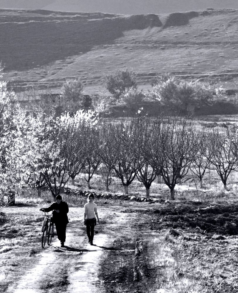 Дорога домой