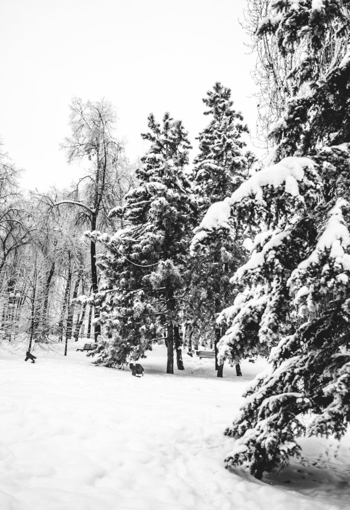 снежный март