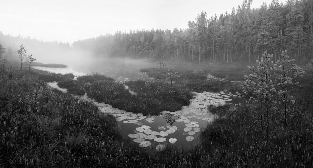 Озеро без названия