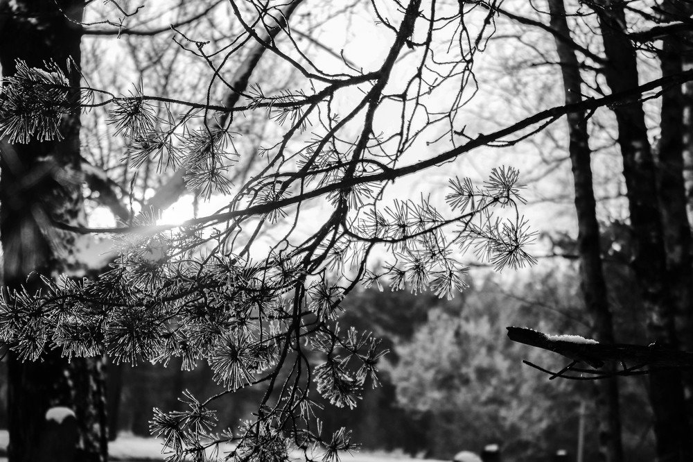 Photograph by Карина Хаустова