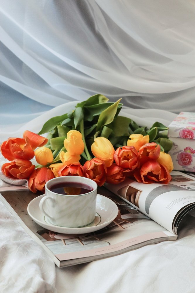 Праздничное утро