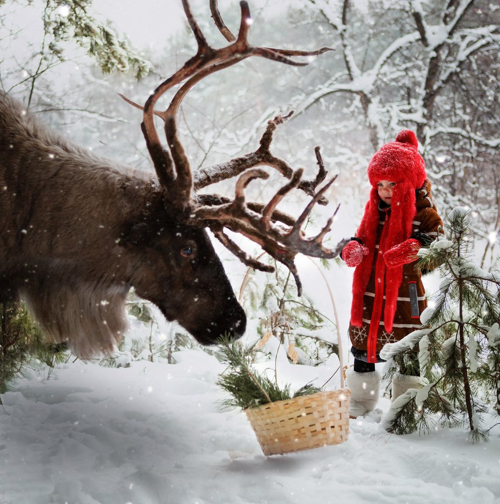 Лесная сказка