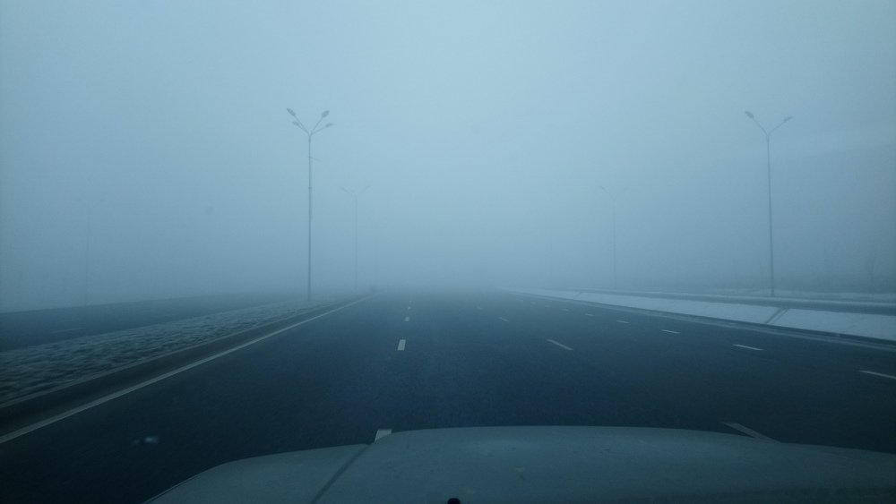 Morning fog