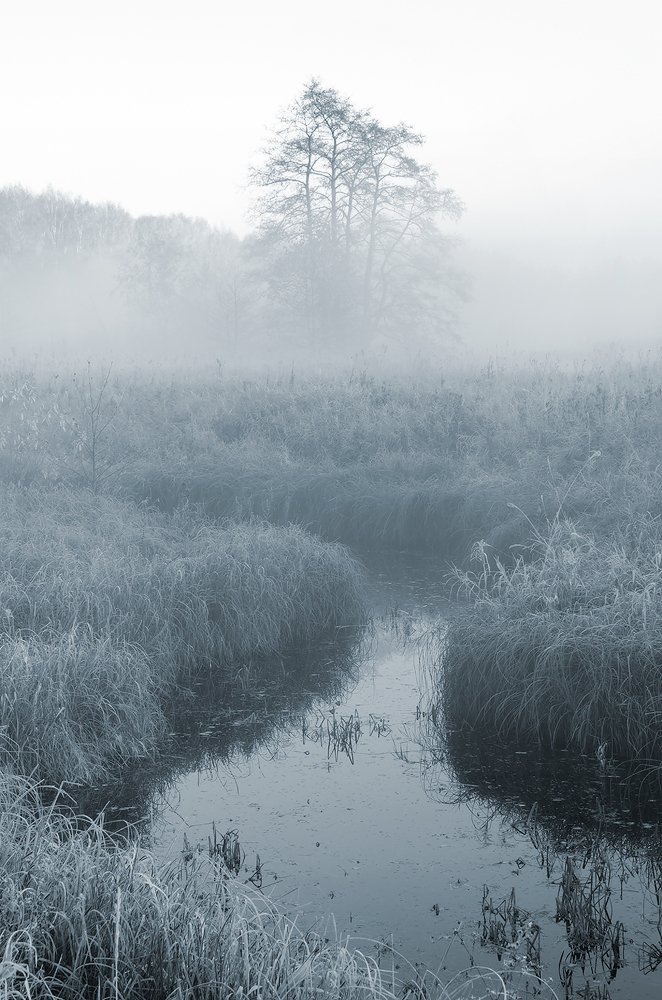 дыхание осеннего тумана