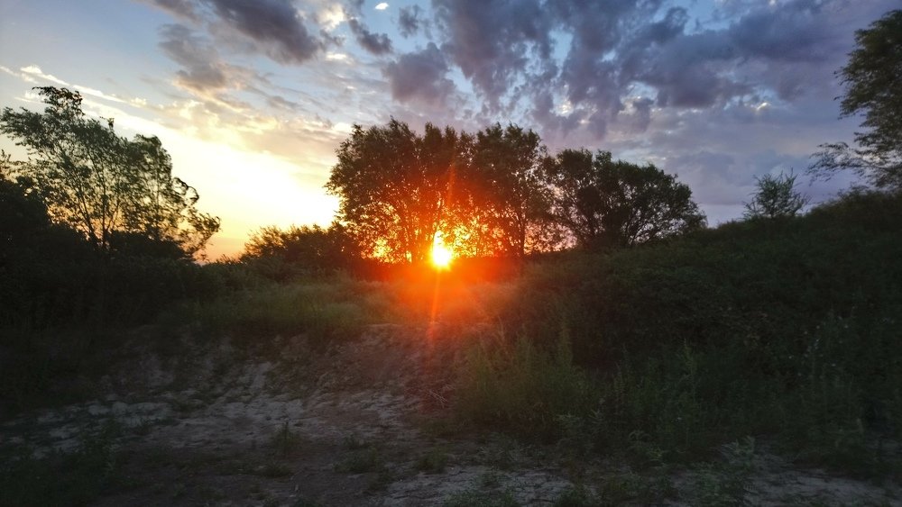 Sunrise