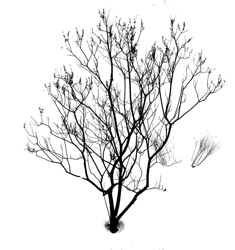 Photograph by Алексей Подрезов