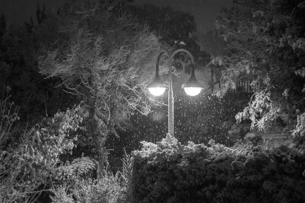 Photograph by Alexey Olkhovenko