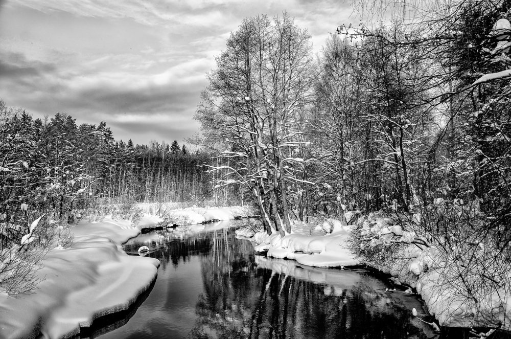 winter-in-the-forest