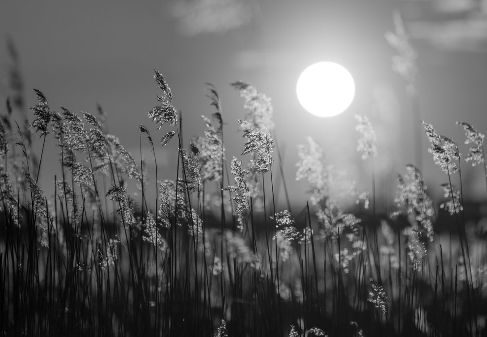 Photograph by Роман Фабричный