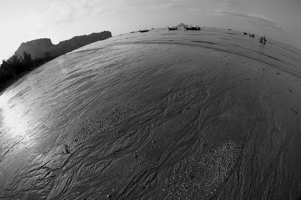 Photograph by Dzianis Mizhui