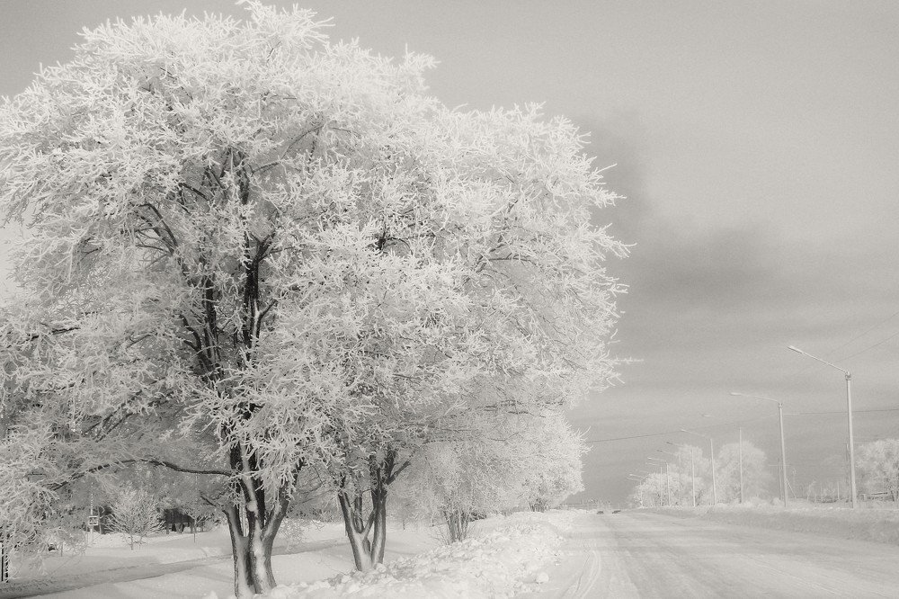 Зимнее шоссе