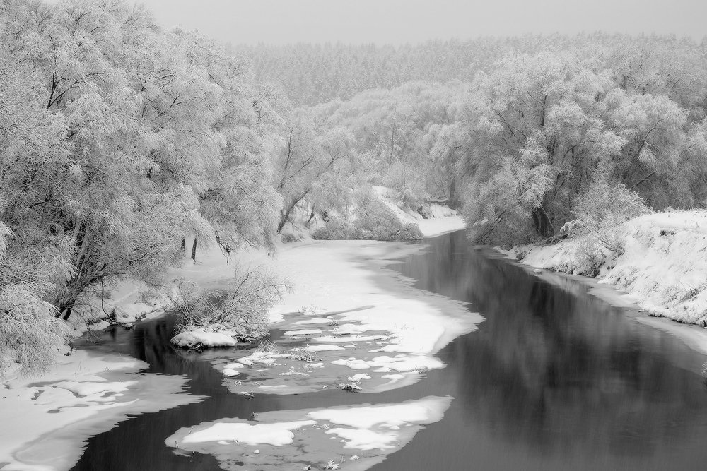 под снежной вуалью