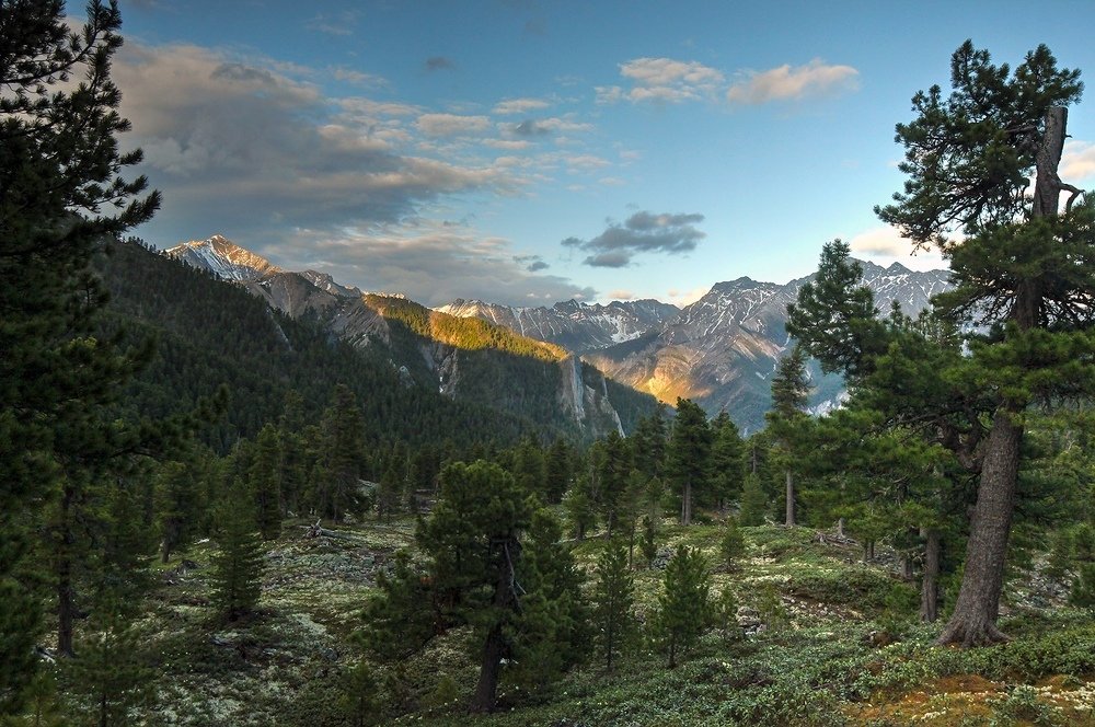 Восточные Саяны