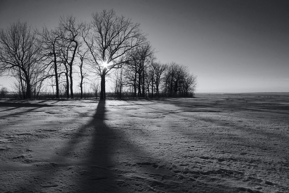 Photograph by Игорь Мальцев