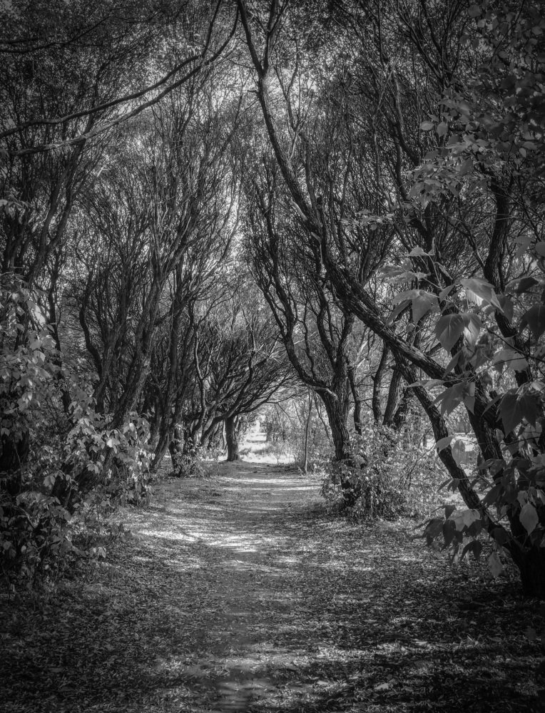 Photograph by Sergey Kovalenko