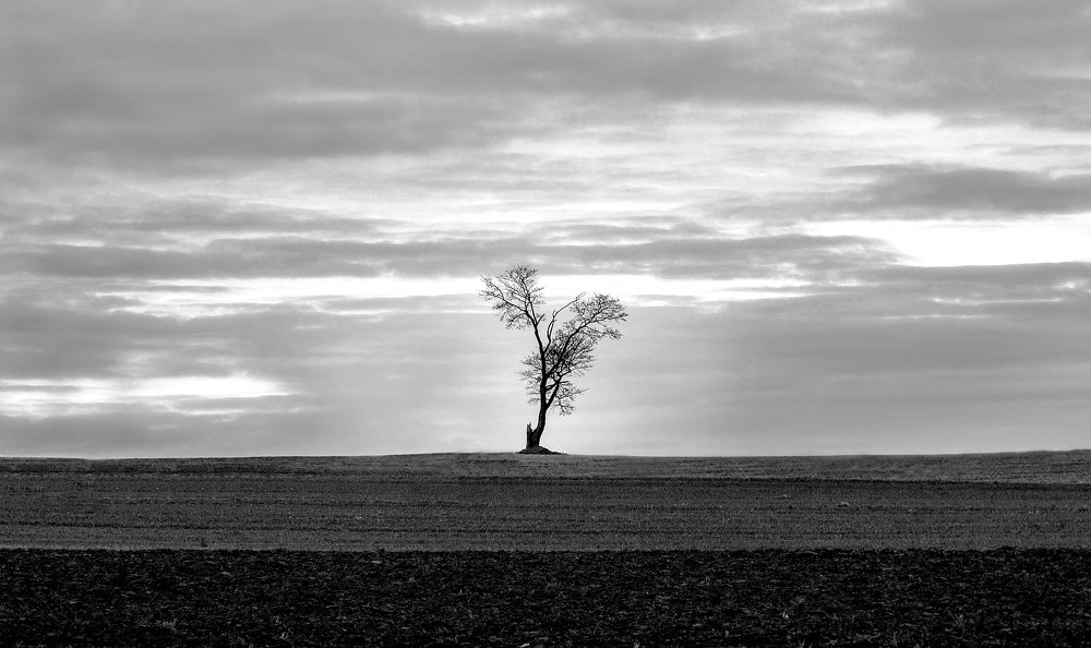 Photograph by Vladislavs Jodciks