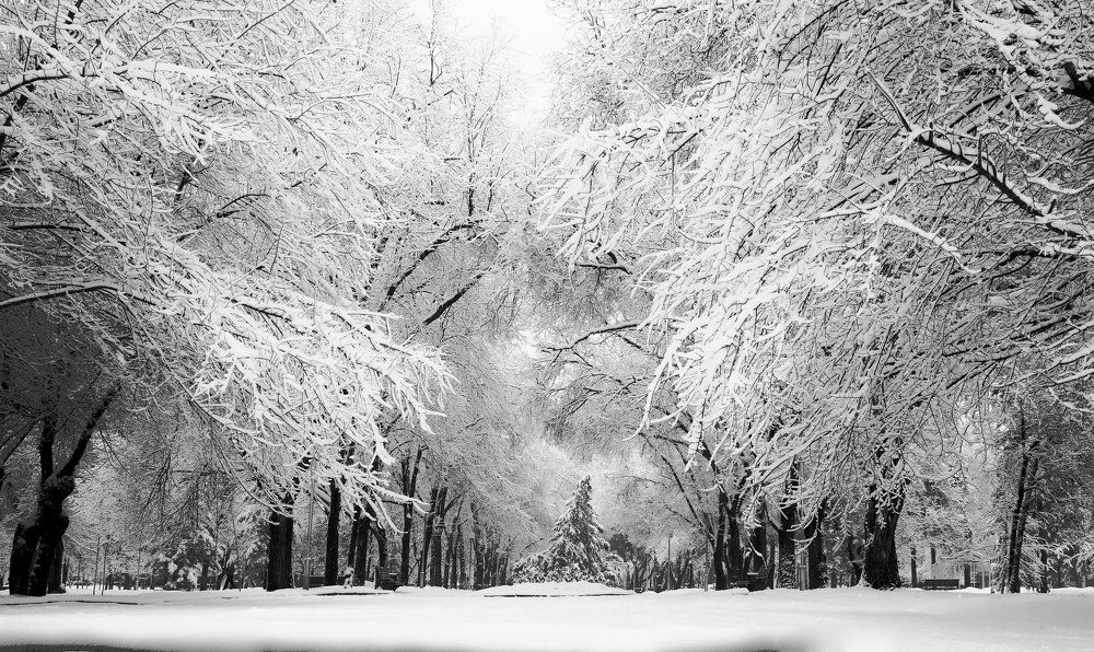 Photograph by Искандар Газизов