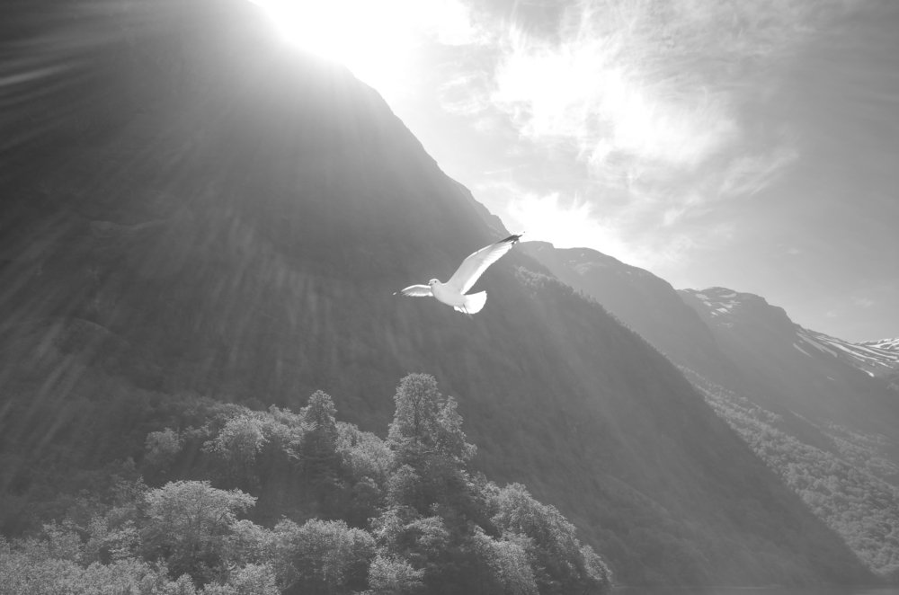 На рассвете