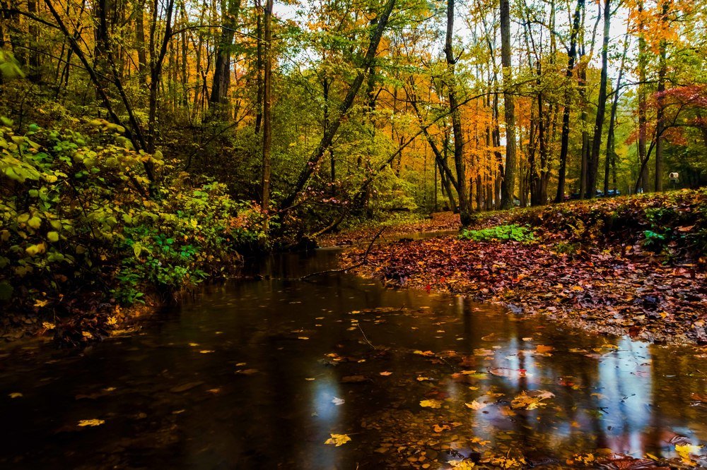 Fall