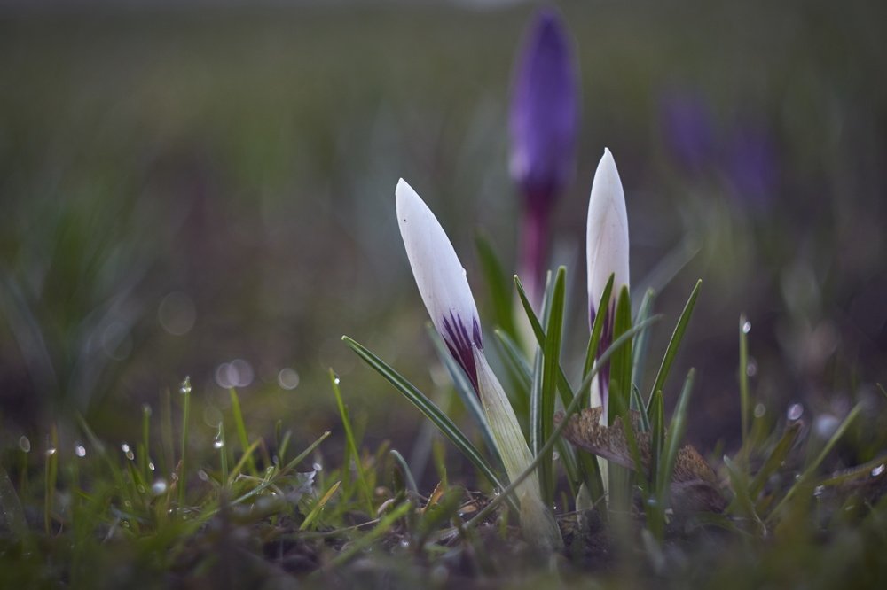 Photograph by Евгений Лобойко