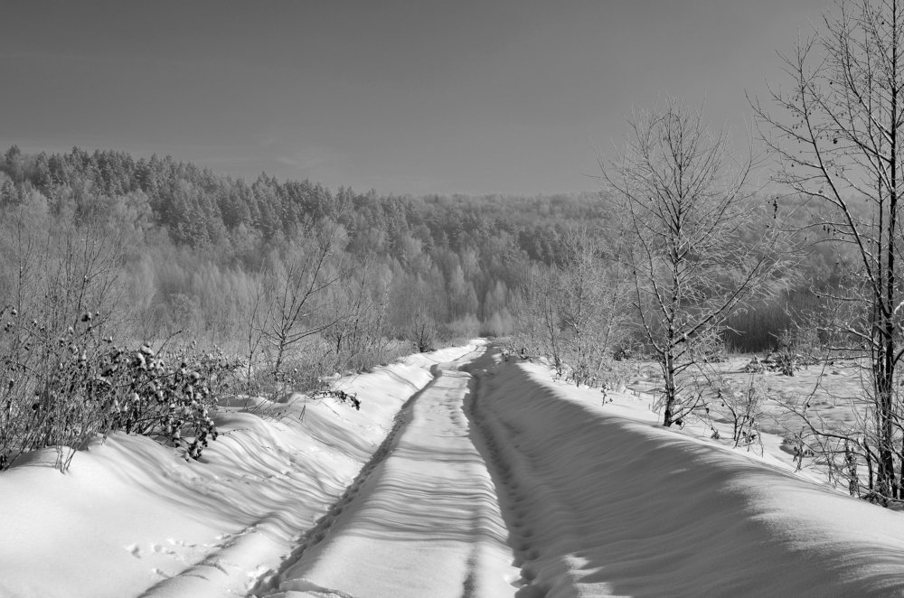 По следам невиданных зверей