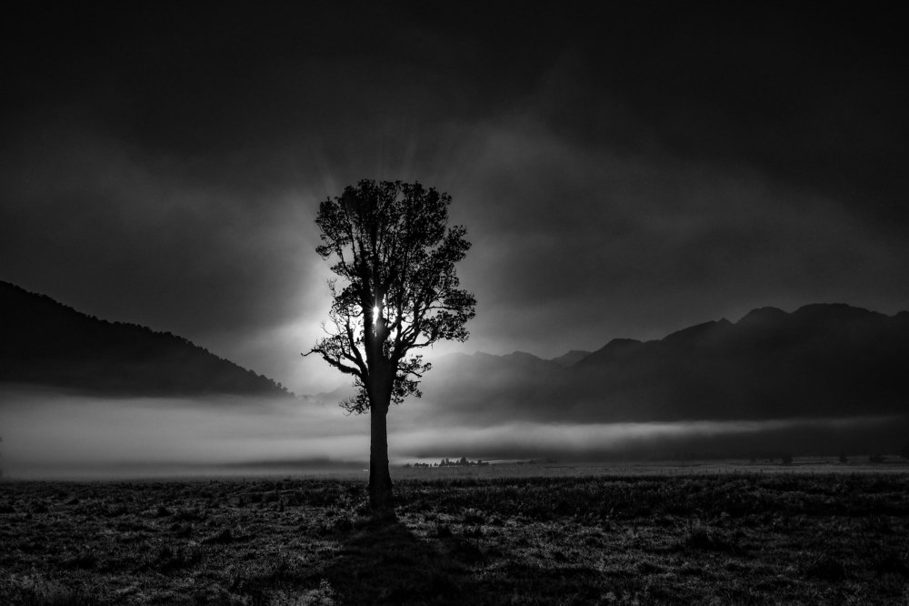 Photograph by Svetlana Guzeeva