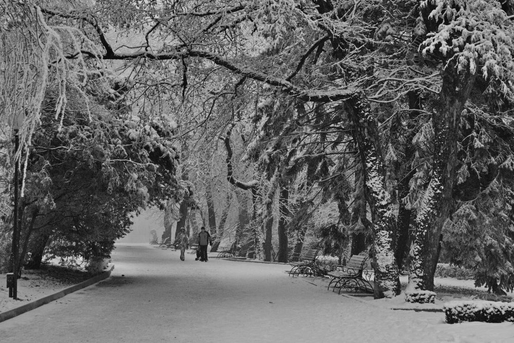 В зимнем парке